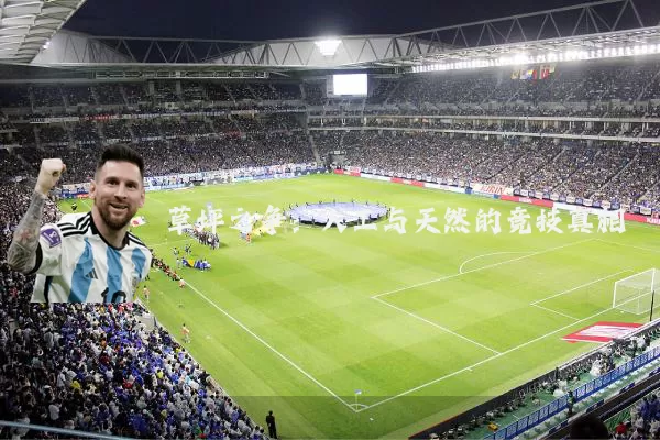 草坪之争：人工与天然的竞技真相